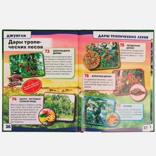 Энциклопедия. Джунгли фото книги 3