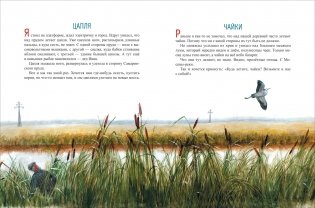 Печной волк фото книги 3