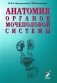 Анатомия органов мочеполовой системы: Учебное пособие. 13-е изд., перераб. и доп фото книги маленькое 2