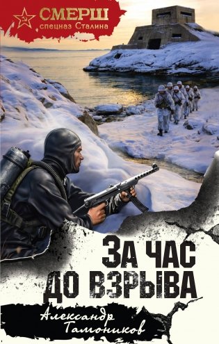За час до взрыва фото книги