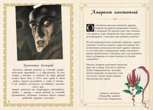 Маленький гримуар ведьмы. Зелья и волшебные травы фото книги 7