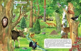 Атлас. Человек и мир. 3 класс фото книги 6