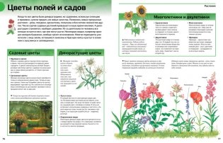 Новая энциклопедия школьника фото книги 3