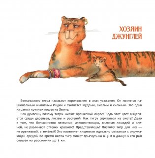 Индия. Страна мудрецов фото книги 4