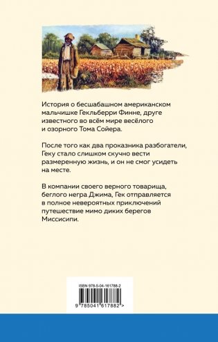 Приключения Гекльберри Финна фото книги 2