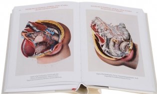 Bourgery. Atlas of Human Anatomy and Surgery фото книги 3