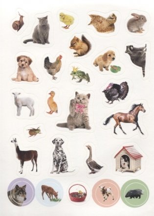 100 наклеек. Мир животных фото книги 2