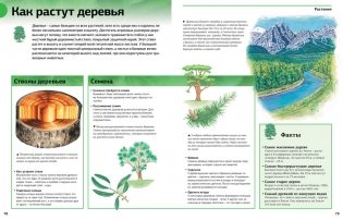 Новая энциклопедия школьника фото книги 4