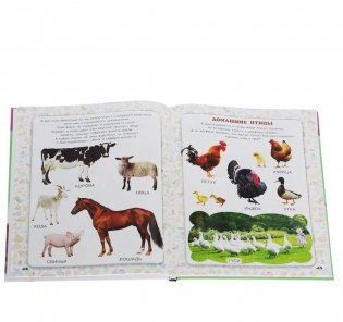 Мир, в котором я живу. Для детей 3-4 лет фото книги 2