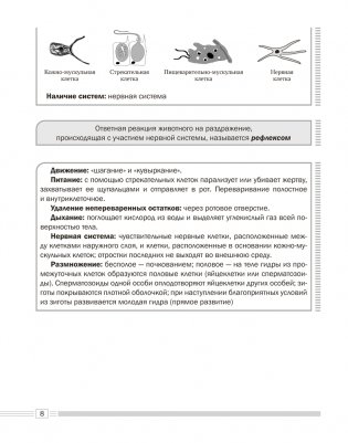 Биология. 8 класс. Опорные конспекты, схемы и таблицы. ГРИФ фото книги 7