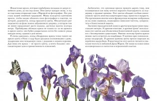 Утешение природой фото книги 6