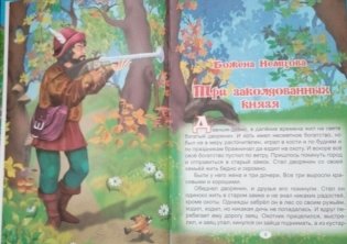 Заколдованные сказки фото книги 2
