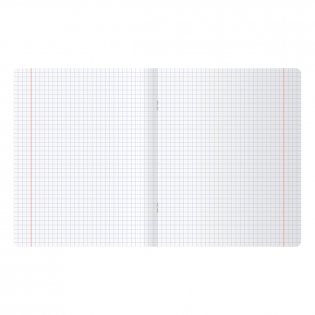 Тетрадь 48 л., А4, клетка BG "Fluffy", матовая ламинация. Арт. Т4ск48_лм 11198 фото книги 2