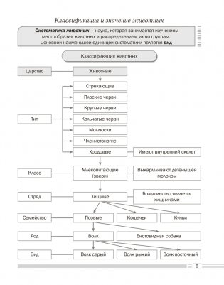 Биология. 8 класс. Опорные конспекты, схемы и таблицы. ГРИФ фото книги 4