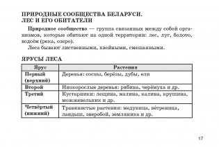 Человек и мир. Памятка для начальной школы фото книги 2