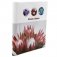 Фотоальбом "Spring paints" (10 магнитных листов) фото книги маленькое 2