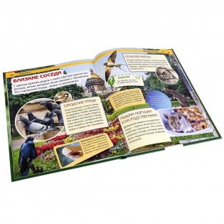 Животные фото книги 4