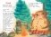 Котауси и Мауси фото книги маленькое 3