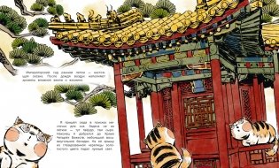 Кот Апельсин в Запретном городе. Книга 5. Крылатый воин фото книги 2