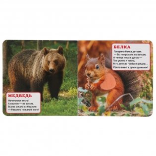 Кто где живет. Книжка-картонка с тактилом фото книги 4