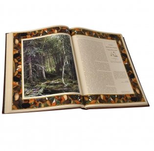Русский лес. Грибы и ягоды (кожа) фото книги 5