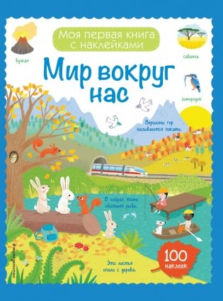 Мир вокруг нас (с наклейками) фото книги 2