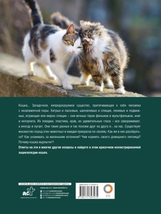 Кошки. Лучший иллюстрированный гид фото книги 2