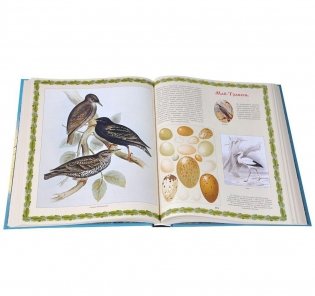 Иллюстрированный календарь русской природы (короб) фото книги 4