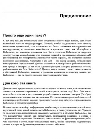 Kubernetes и сети. Многоуровневый подход фото книги 9