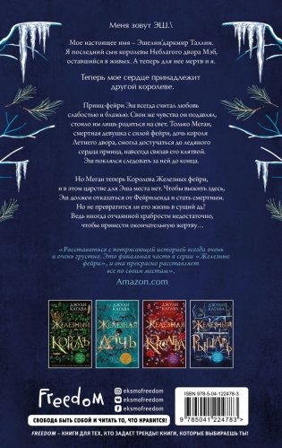 Железный рыцарь (#4) фото книги 17