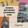 Словарь для записи английских слов (15х15 см) (Лондонский стиль) фото книги маленькое 2