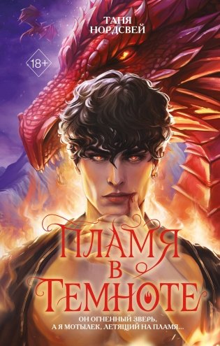 Пламя в темноте фото книги