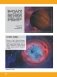 Космос фото книги маленькое 10