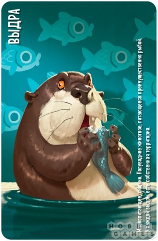 Similo: Животные. Логичные звери фото книги 5