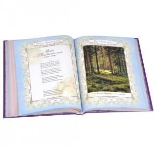 Поэзия Серебряного века фото книги 5