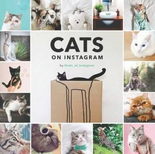 Cats on Instagram фото книги