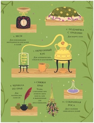 Ведьмин сад. Тайная сила трав. Настольная книга современной ведьмы фото книги 5