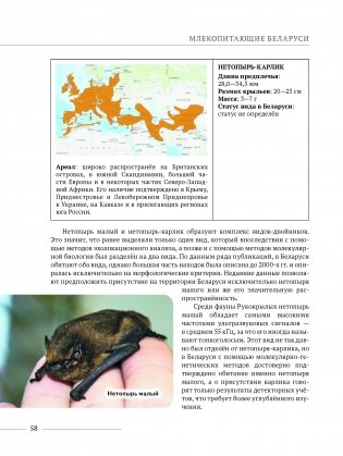 Млекопитающие Беларуси фото книги 2