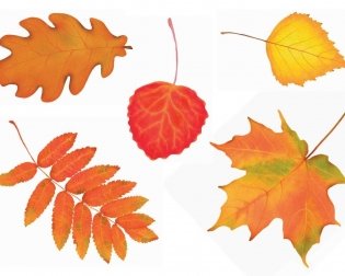 Родная мова. Вучэбны наглядны дапаможнік. ГРЫФ фото книги 3