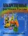 Лекарственные растения России. Карманный справочник фото книги маленькое 2