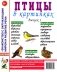 Птицы в картинках. Выпуск 1. Наглядное пособие для педагогов, логопедов, воспитателей и родителей фото книги маленькое 2