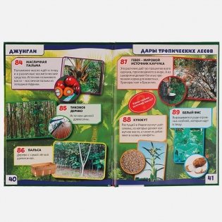 Энциклопедия. Джунгли фото книги 2