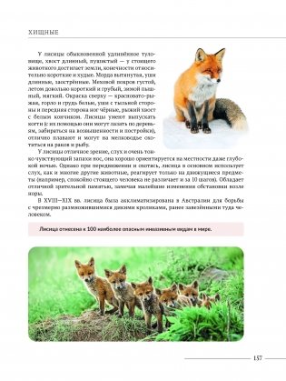 Млекопитающие Беларуси фото книги 4