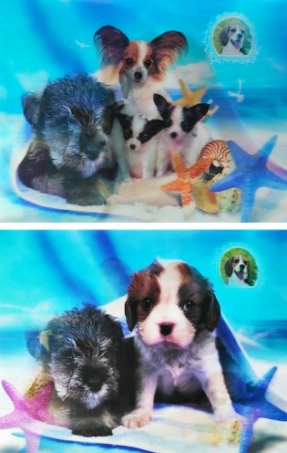 Комплект 3D картин. Набор из 4 штук фото книги 4