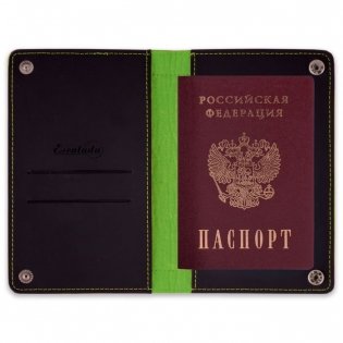 Органайзер-обложка для документов, цвет: салатовый, черный фото книги 2