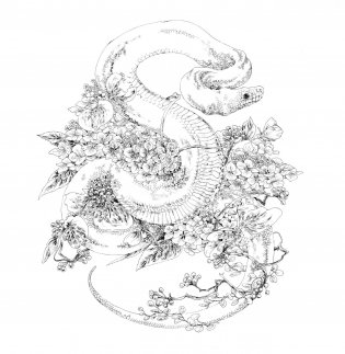 Скетчбук-раскраска. Мир поразительных существ Кэна Мацуды (желтая со слоном) фото книги 9