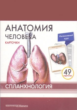 Анатомия человека. Спланхнология (49 карточек) фото книги