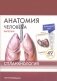 Анатомия человека. Спланхнология (49 карточек) фото книги маленькое 2