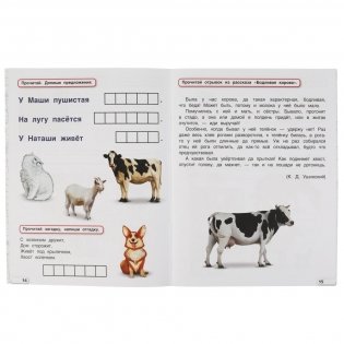 Годовой курс 6-7 лет фото книги 2