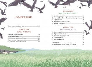 Магазин теней «Лунный свет». Книга 3. Тайна чёрных птиц фото книги 2